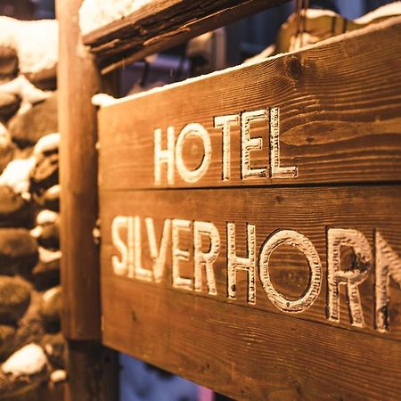 Hotel Silverhorn Myoko Exterior photo